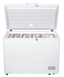 Congélateur Coffre 308L