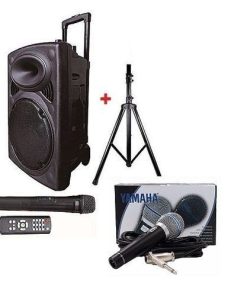 Enceinte Bluetooth Portable BAFFLE D12&Prime; + 2 Micros + Trépied Offerts