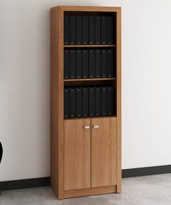 Bibliothèque 2 Portes 2 Étagères